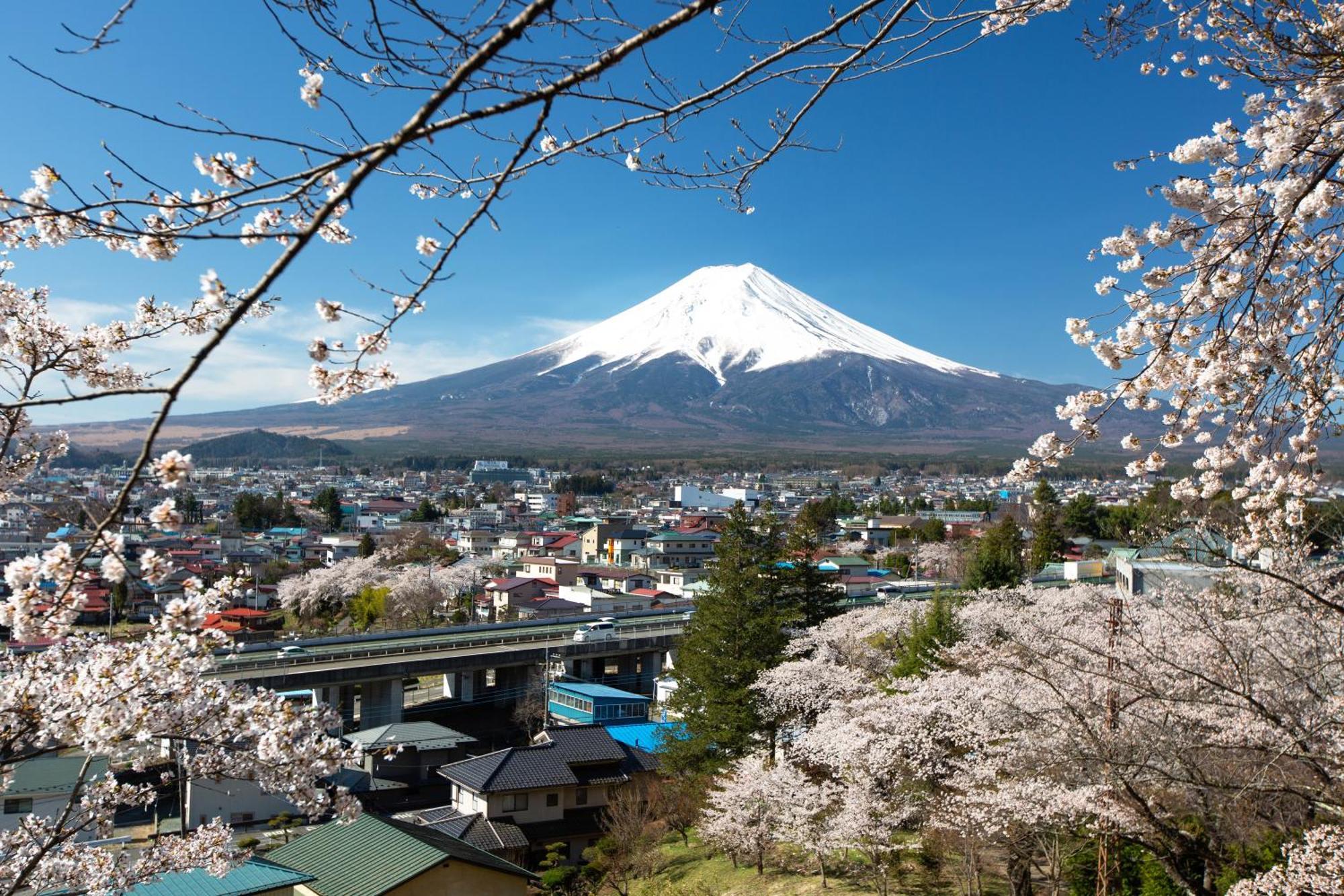 Sorapia Villa Mt.Fuji Front Fujikawaguchiko Buitenkant foto